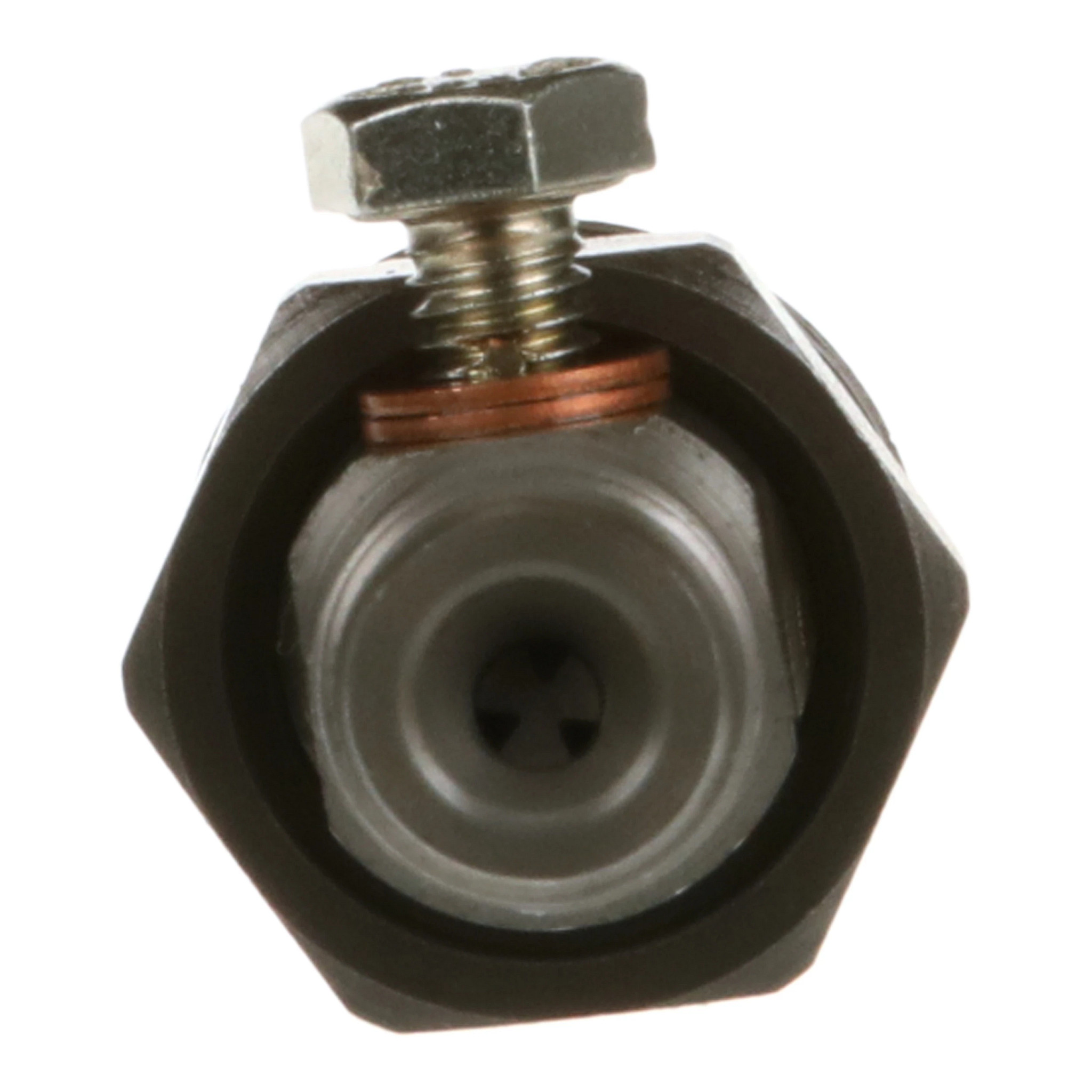 REMAN-FUEL INJECTOR | NEWHOLLANDCE | US | EN