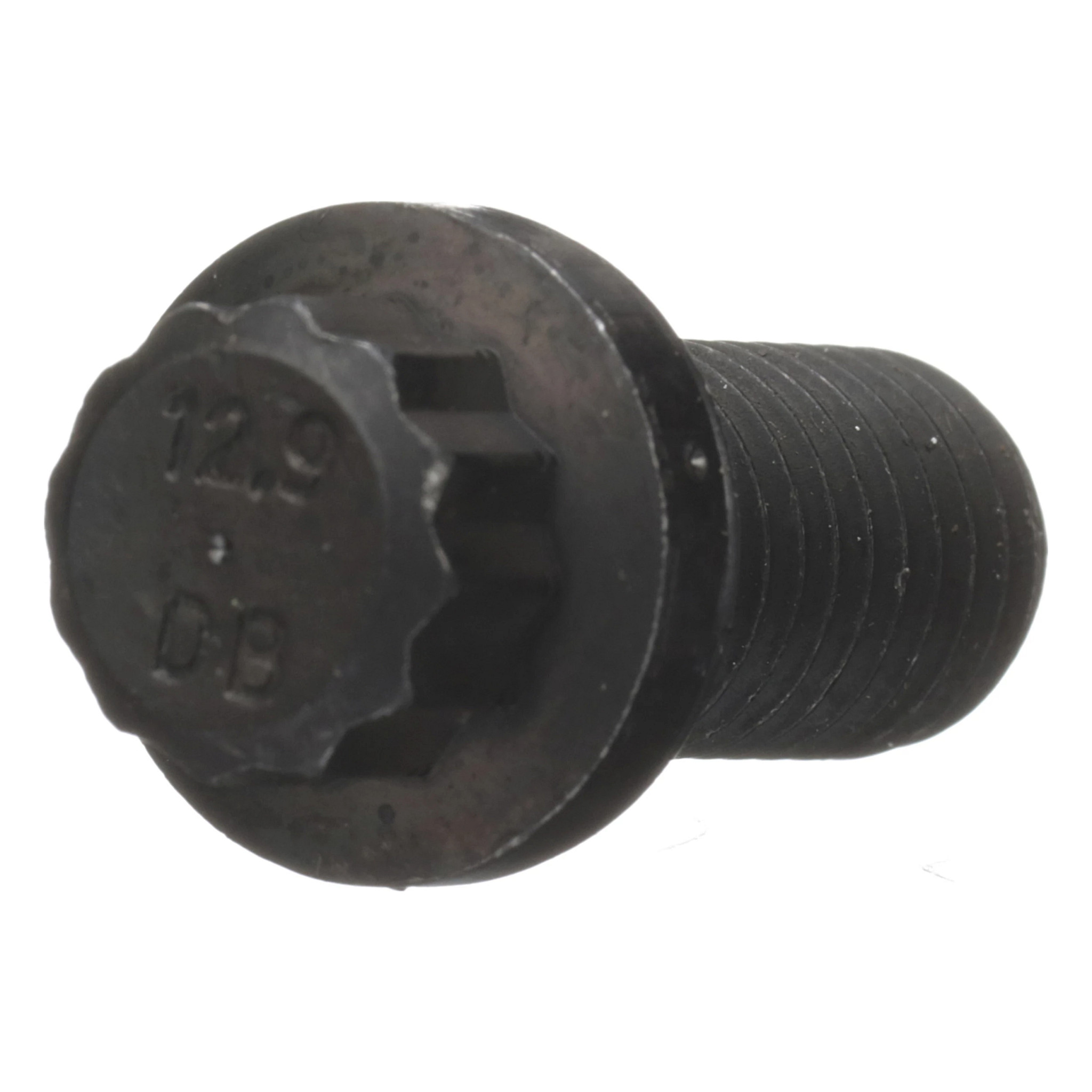 12 PT SCREW | CASECE | CA | EN