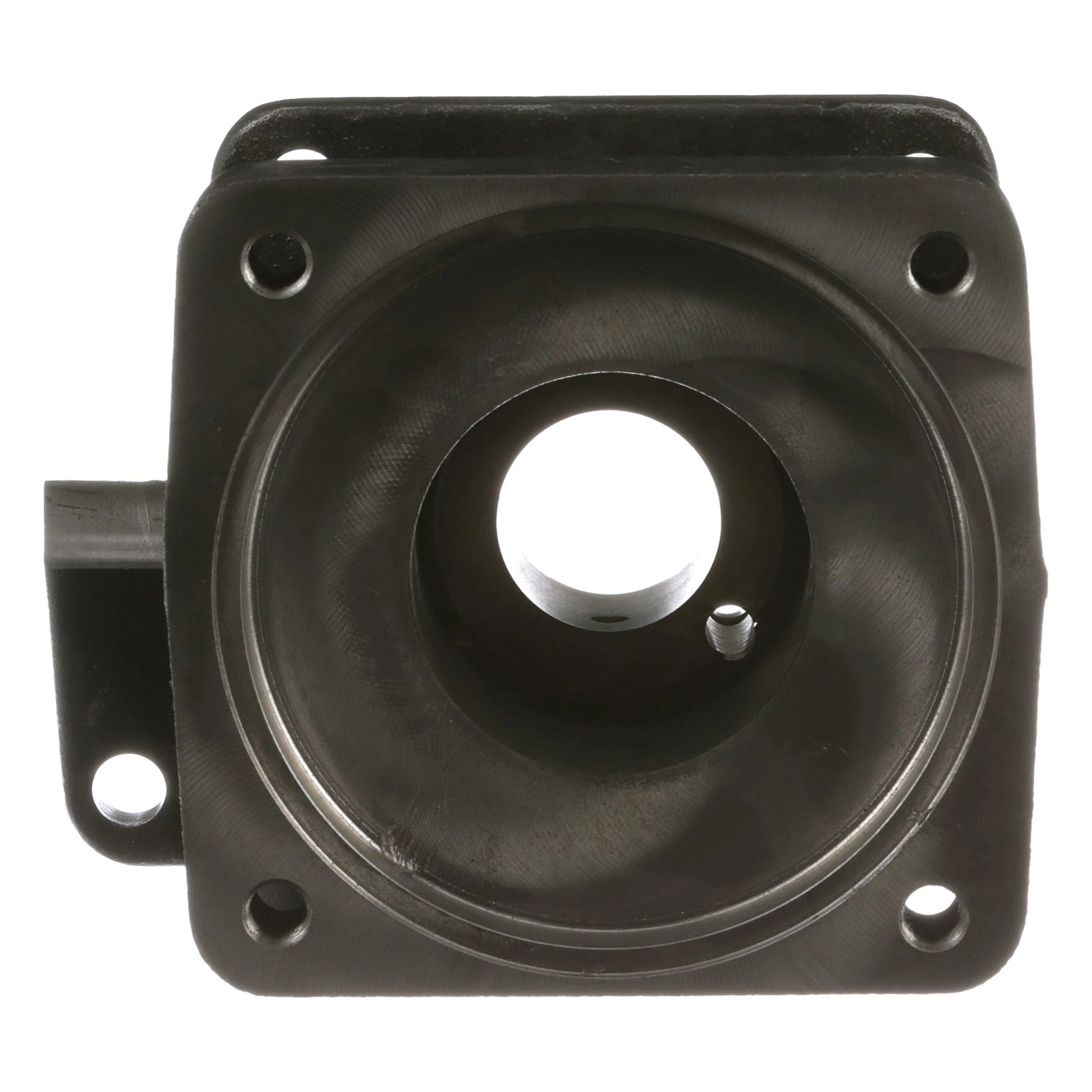 MANICOTTO DI PROTEZI | CASEIH | IT | IT