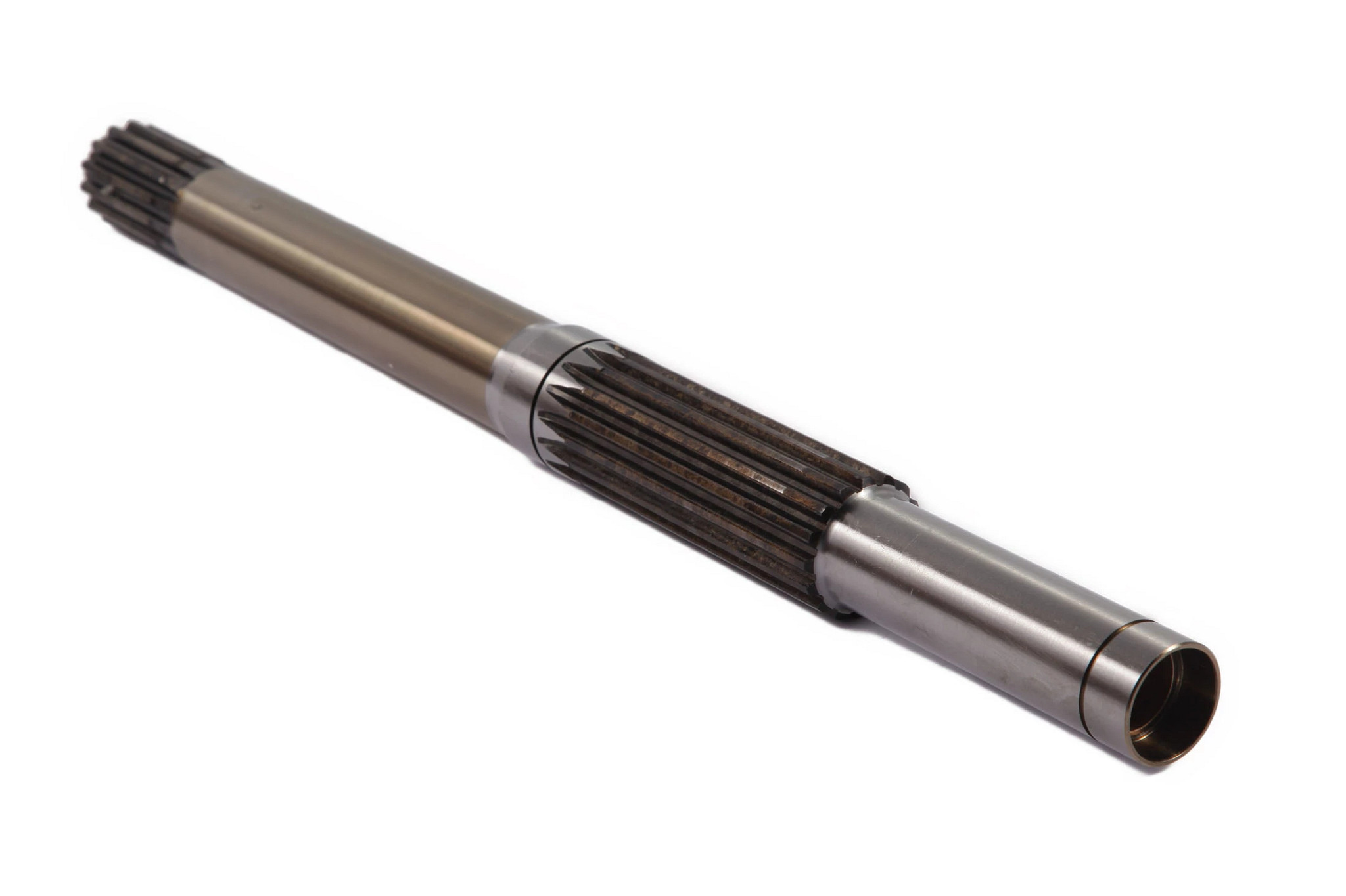 ARBRE | CASECE | AMEA | EN