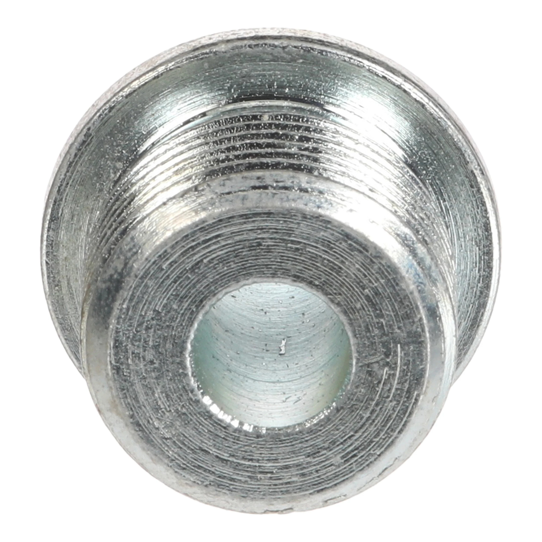 PLUG | NEWHOLLANDAG | NZ | EN