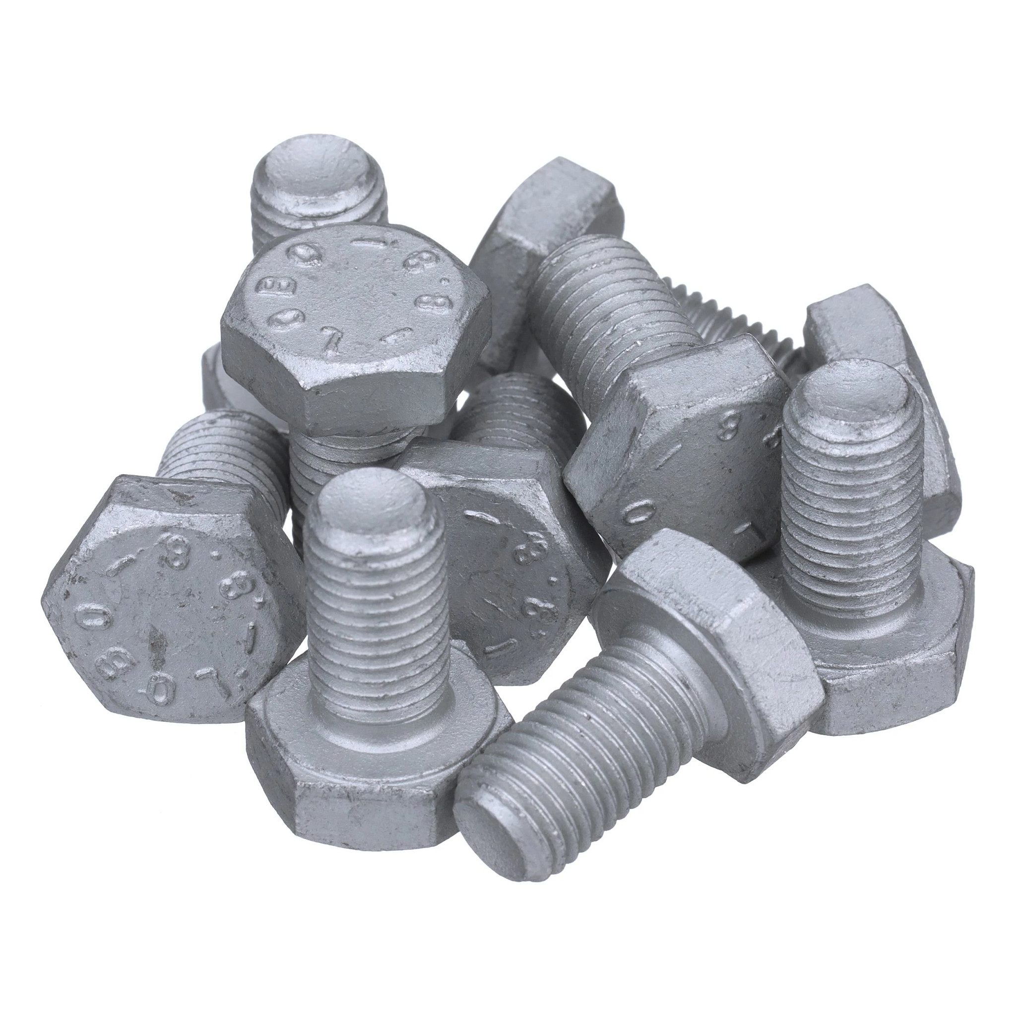 BOLT | CASECE | SA | EN