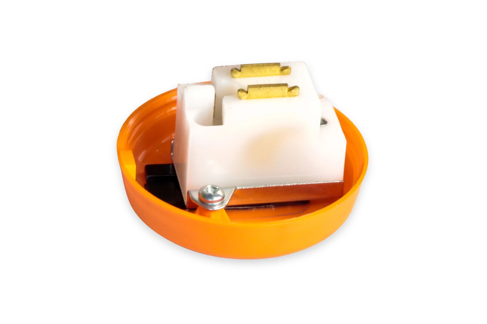 COVER | CASECE | AU | EN