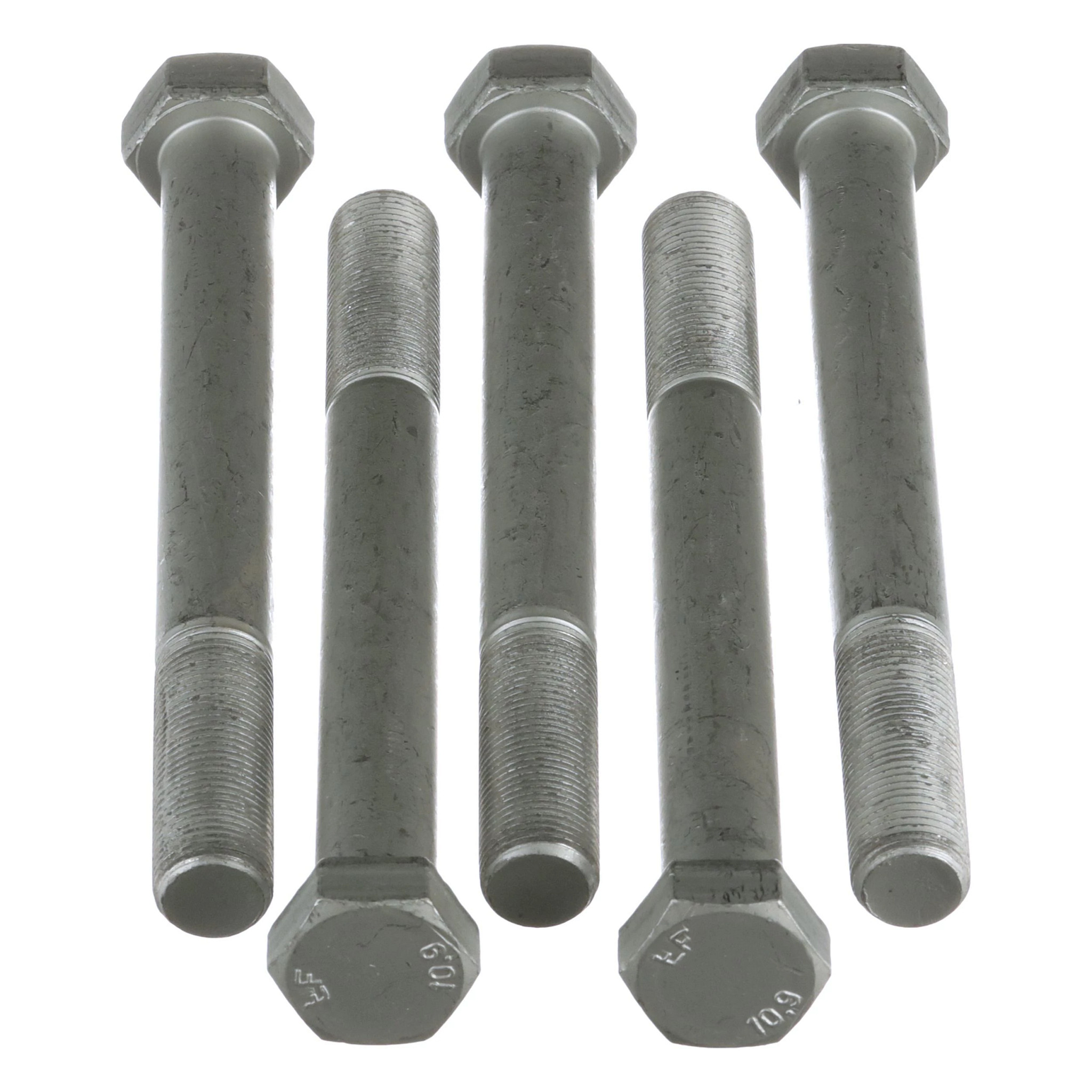 BOLT | CASECE | EU | PL