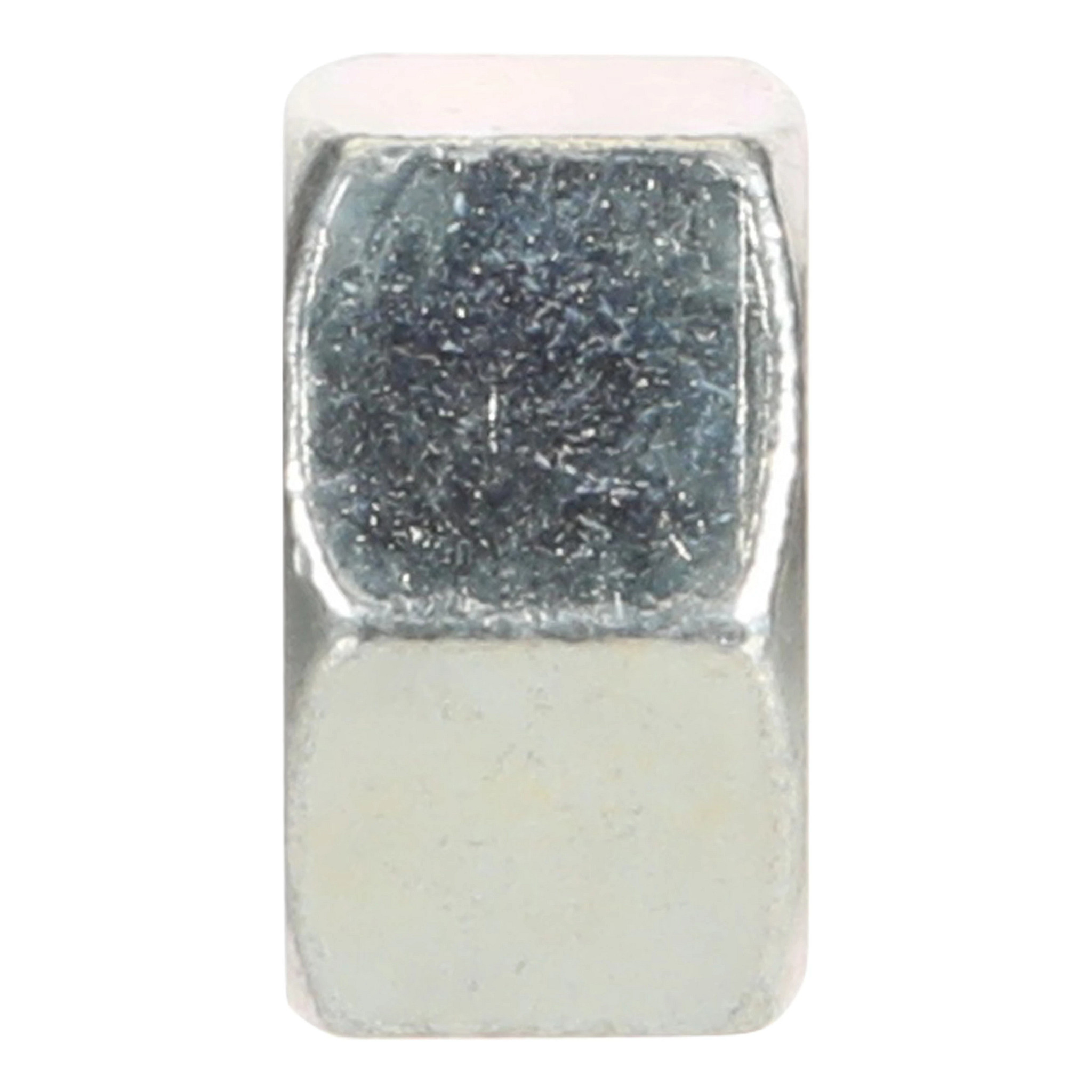 NUT | CASECE | SA | EN