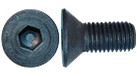 Hex Soc Screw | CASECE | US | EN