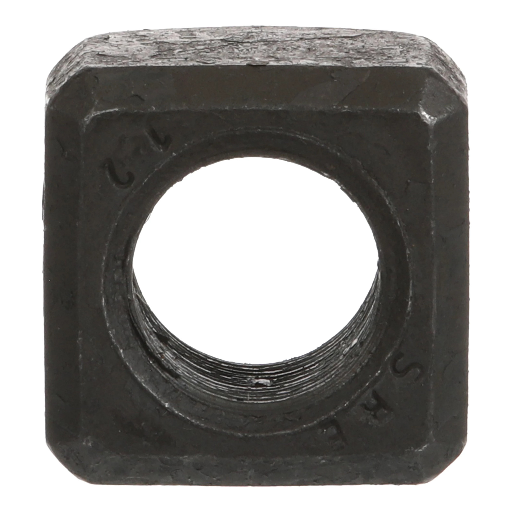 NUT | CASECE | CA | EN
