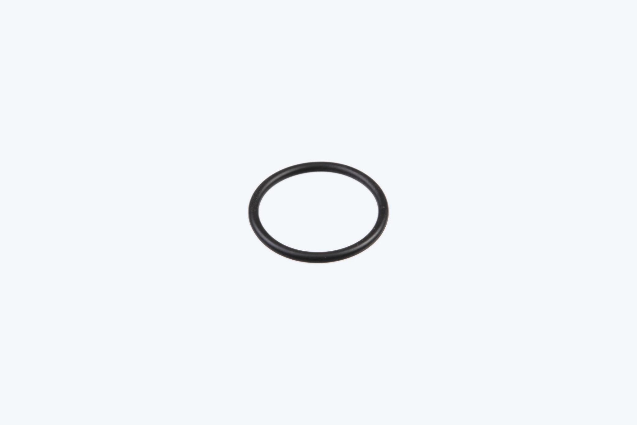 O-ring | CASECE | CA | EN