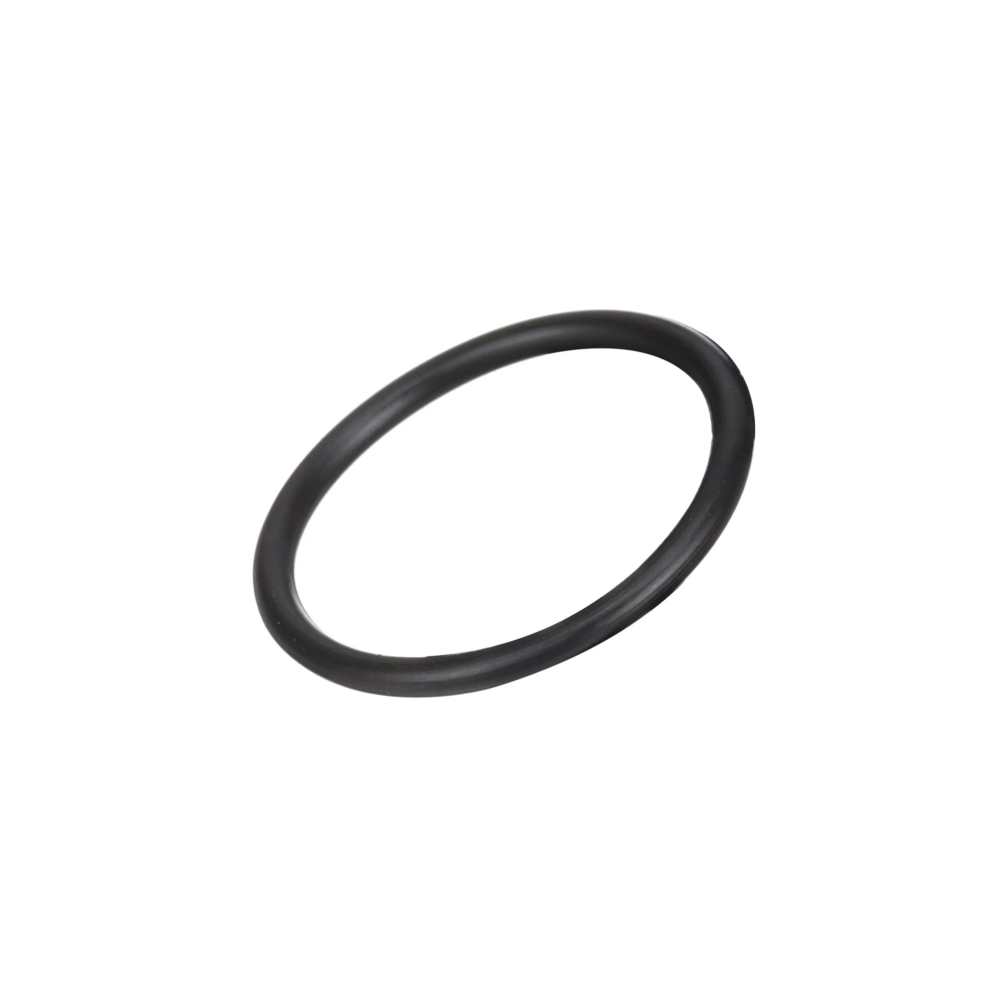 O-RING | CASECE | EU | EN