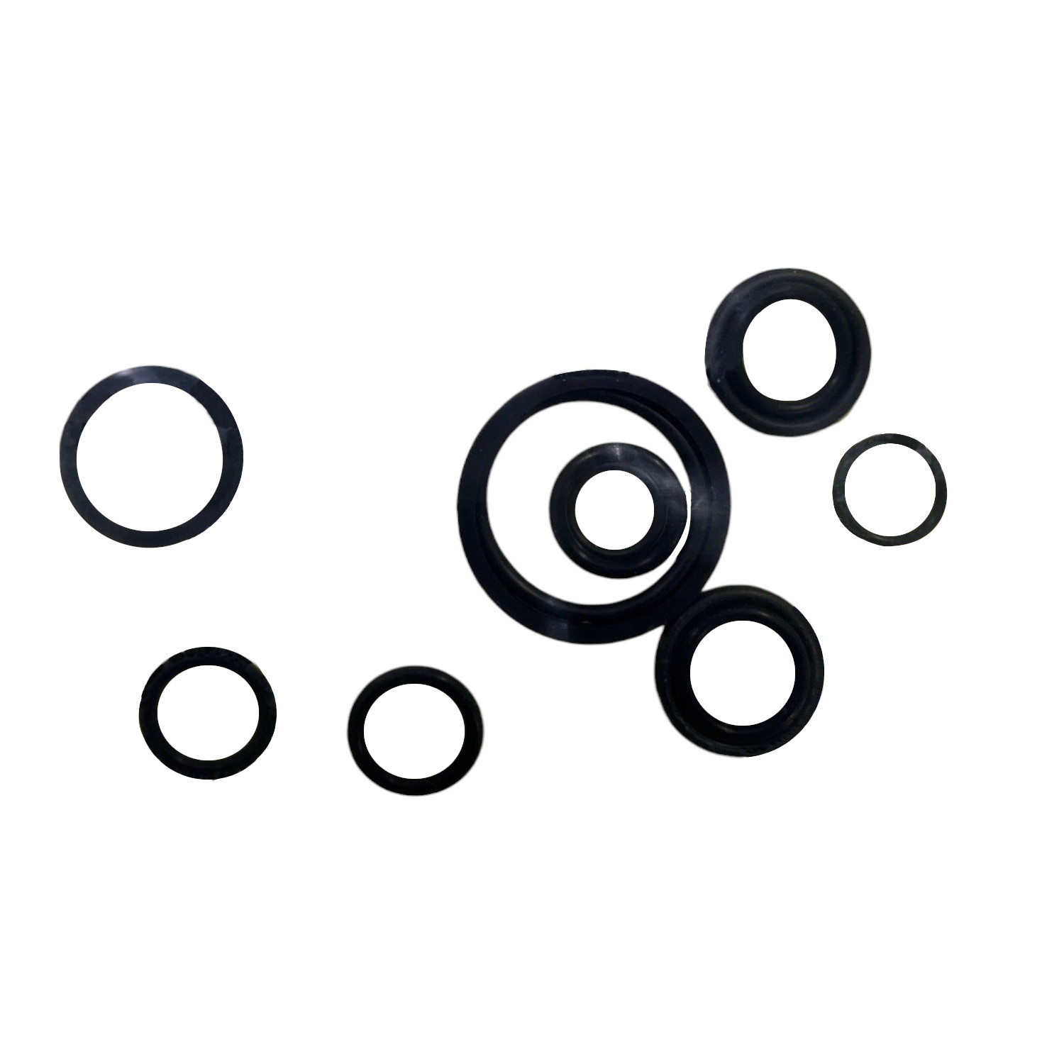 O-RING KIT | CASECE | CA | EN