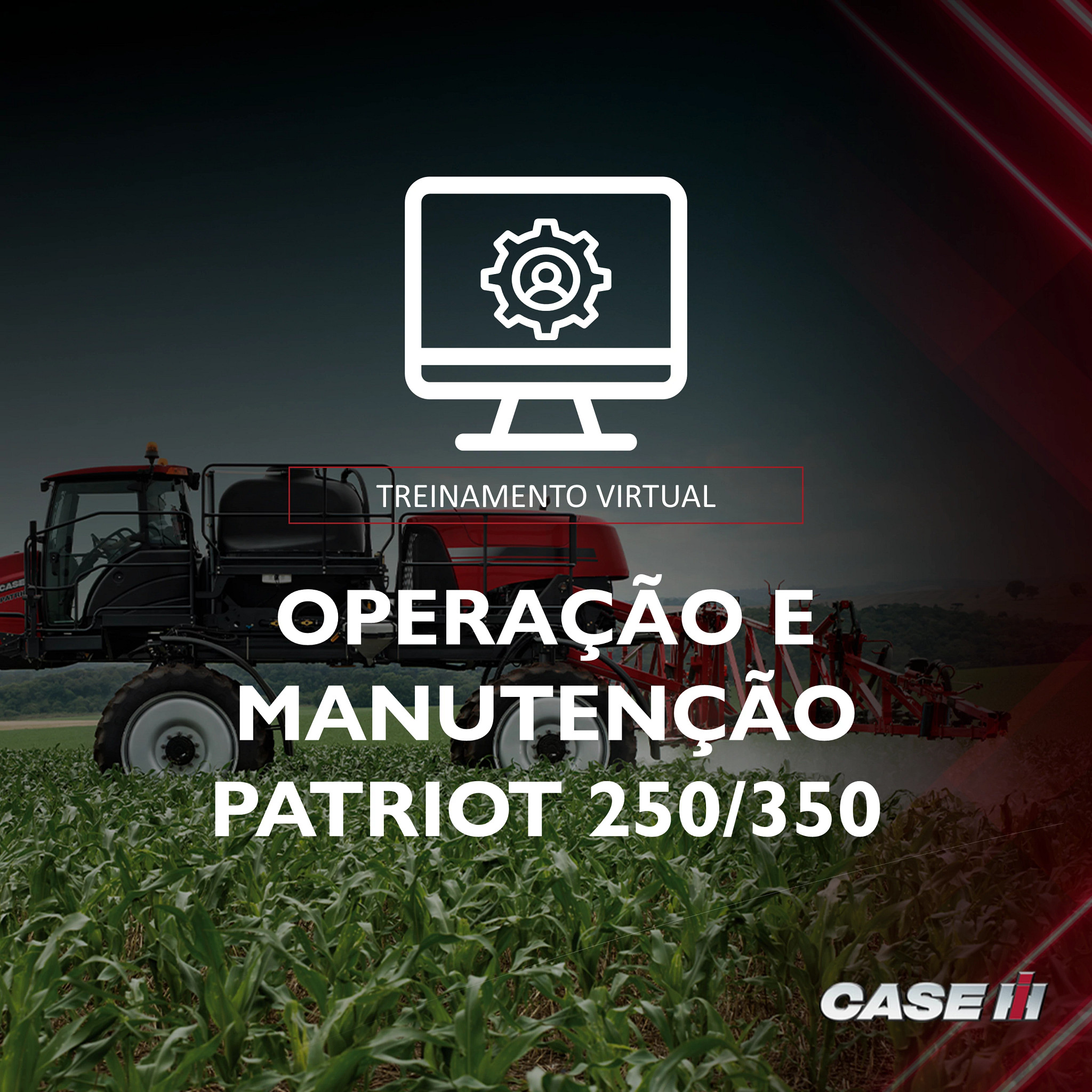 Treinamento Virtual Operação e Manutenção - Patriot 250/350