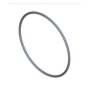 O-RING