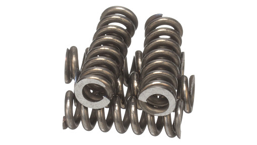 SPRING | CASECE | CA | EN