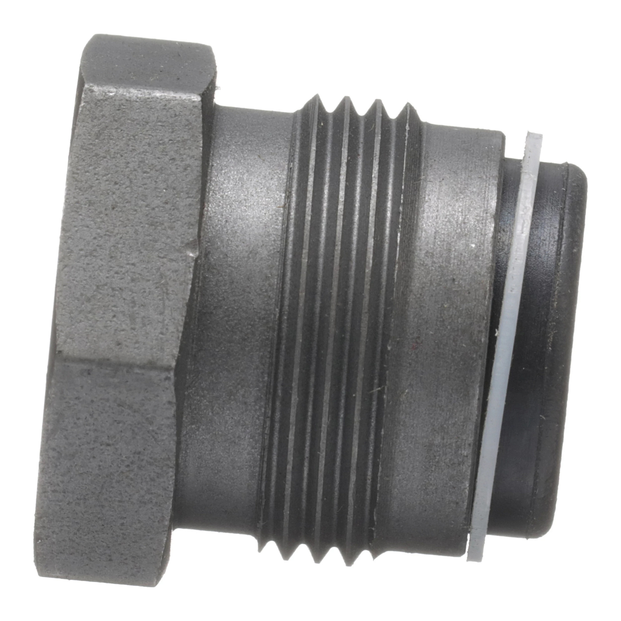 NUT | CASECE | US | EN