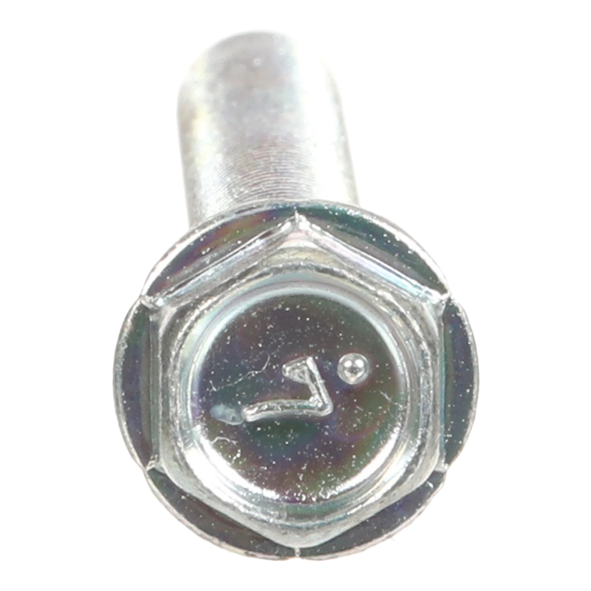 BOLT | CASECE | CA | EN