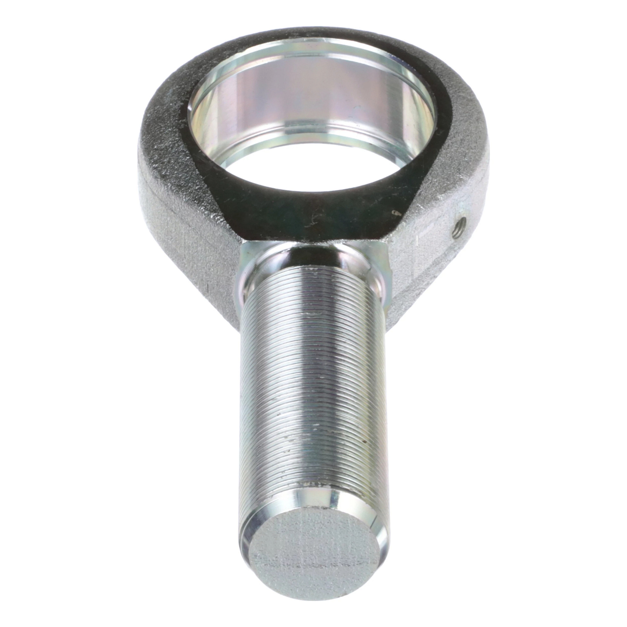 SPURSTANGENKOPF | NEWHOLLANDAG | DE | DE