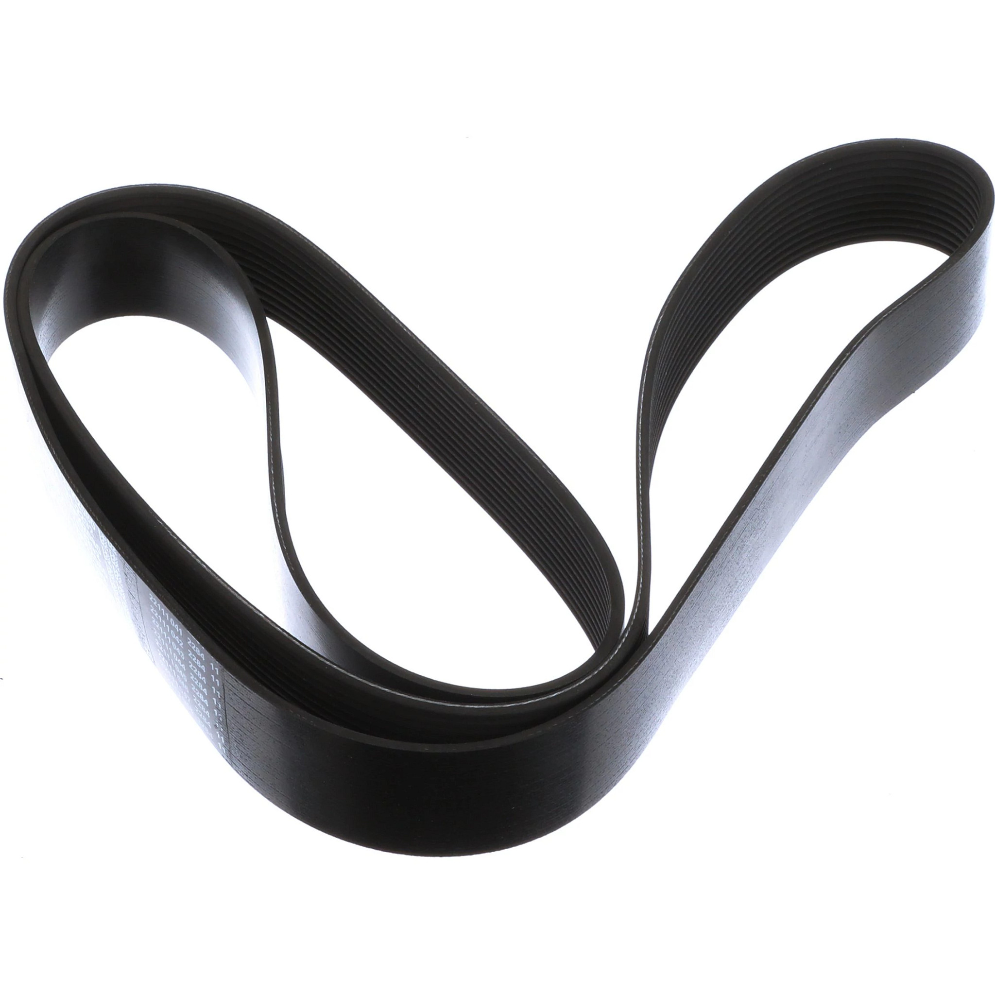 COURROIE | CASECE | CA | FR