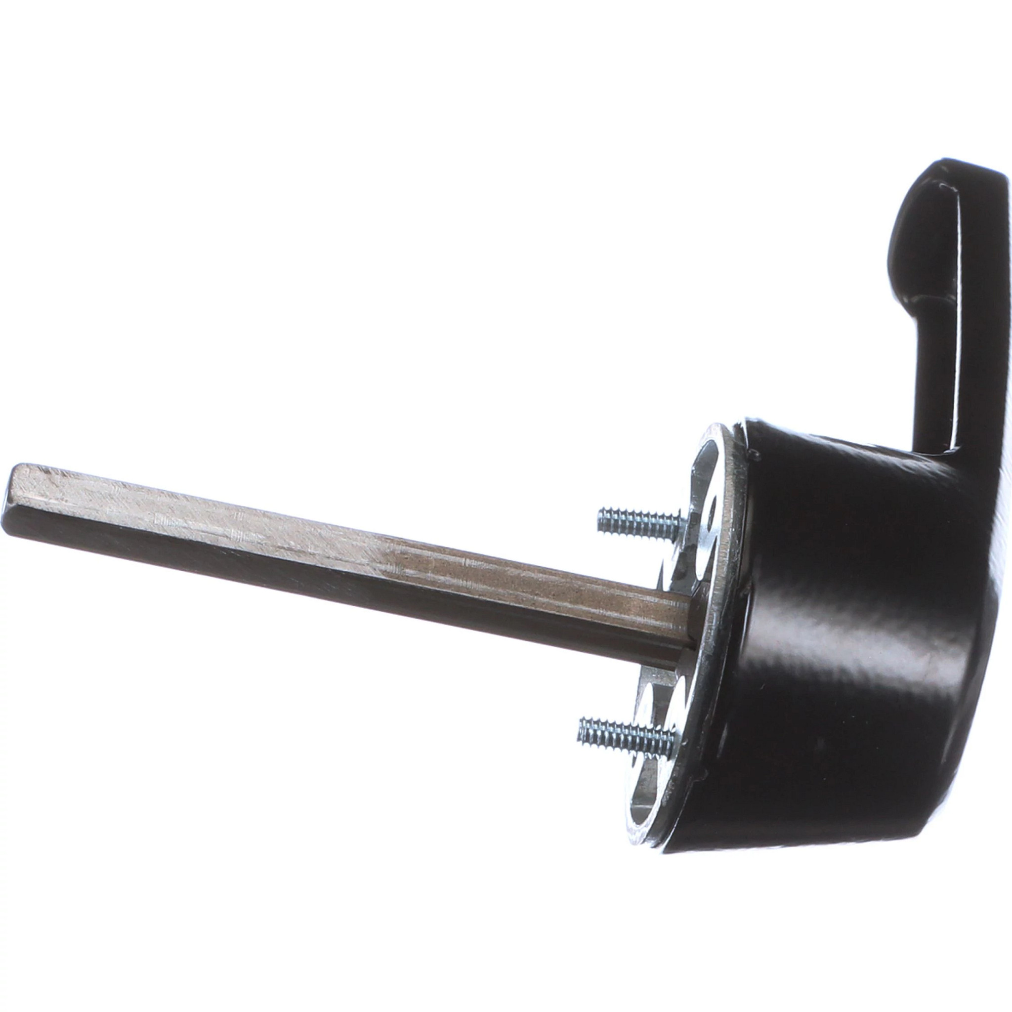 HANDLE | CASECE | AMEA | EN