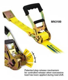 Arrimage à cliquet robuste - 27 pi x 2 po | NEWHOLLANDAG | CA | FR