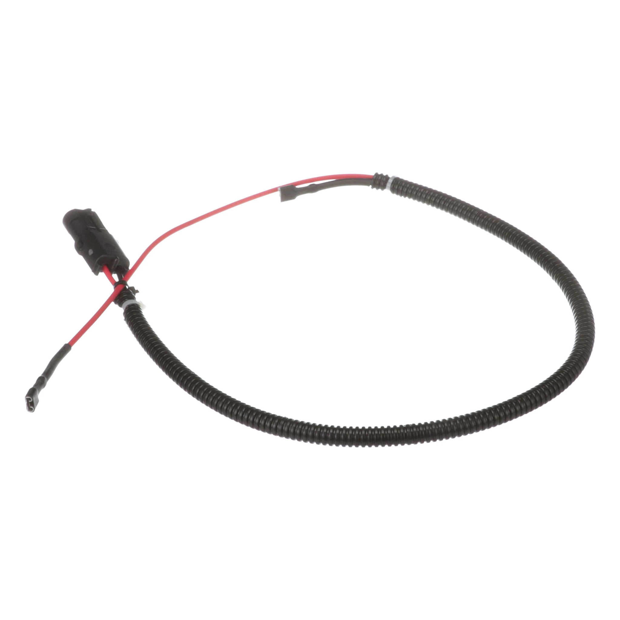 HARNESS | CASECE | CA | EN