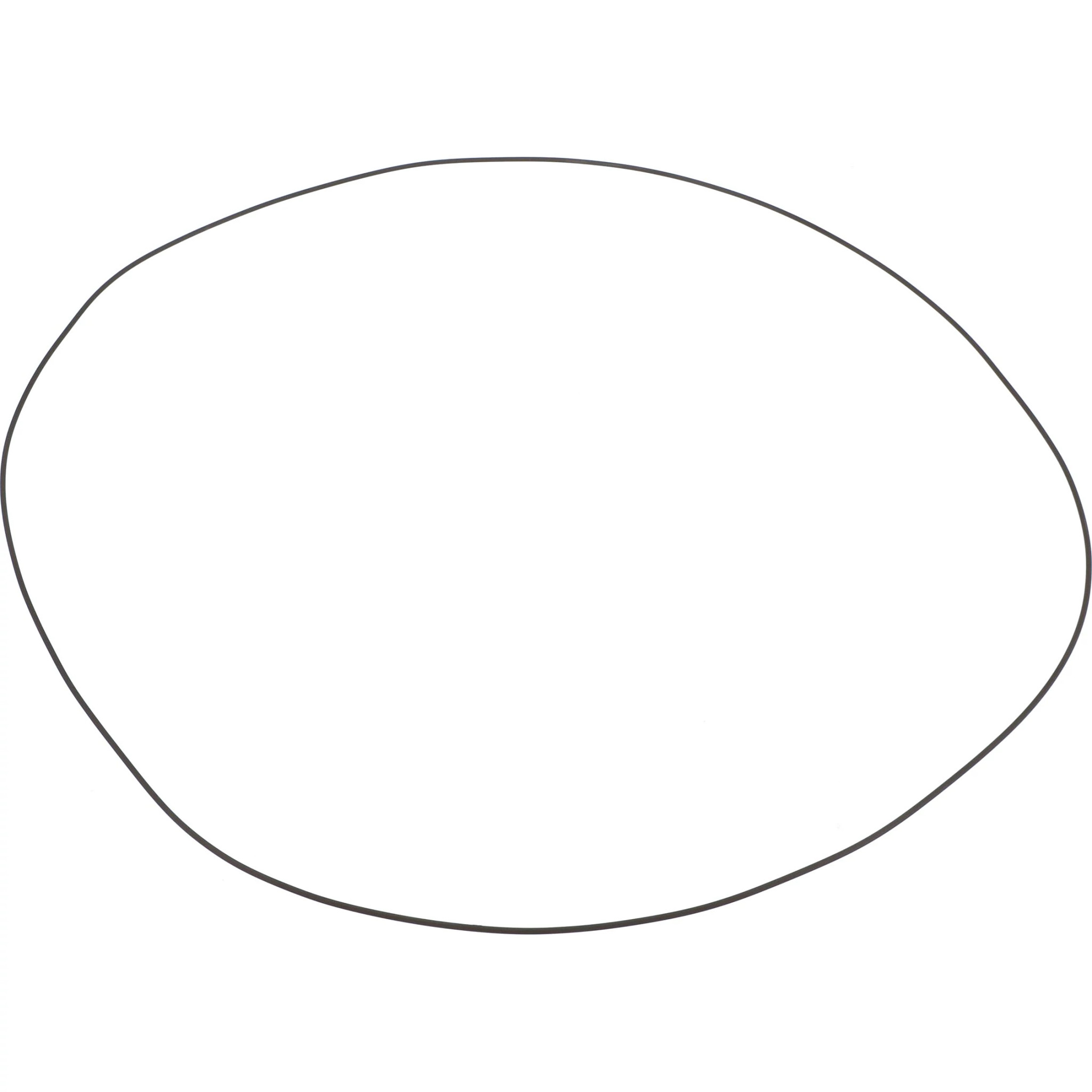 O-RING | NEWHOLLANDCE | US | EN