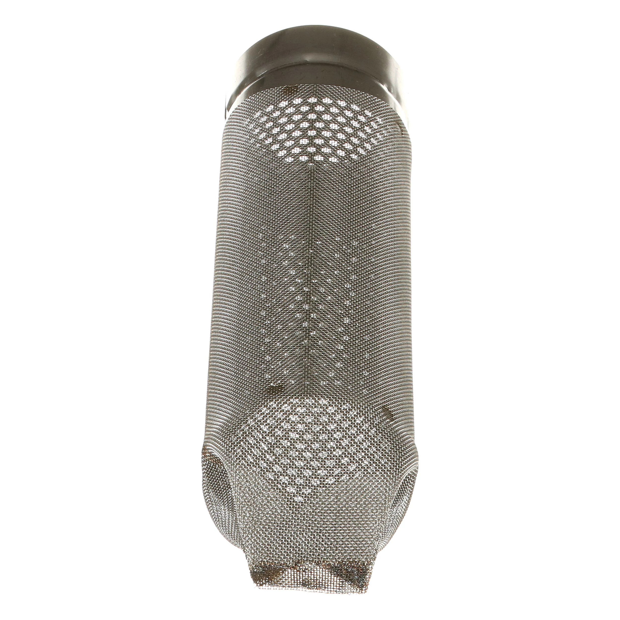 FILTER STRAINER | CASEIH | US | EN