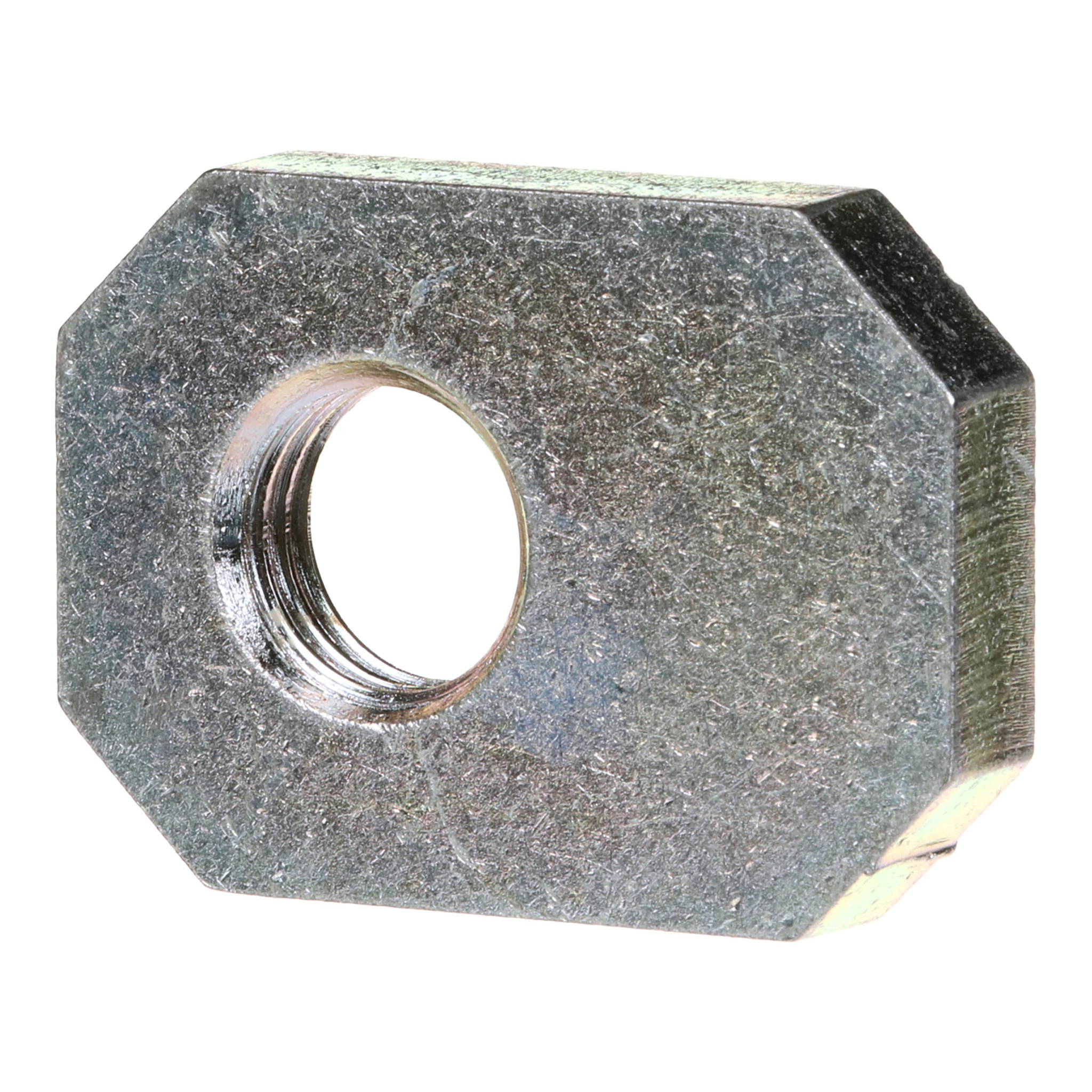 PLAQUE | CASECE | AMEA | EN