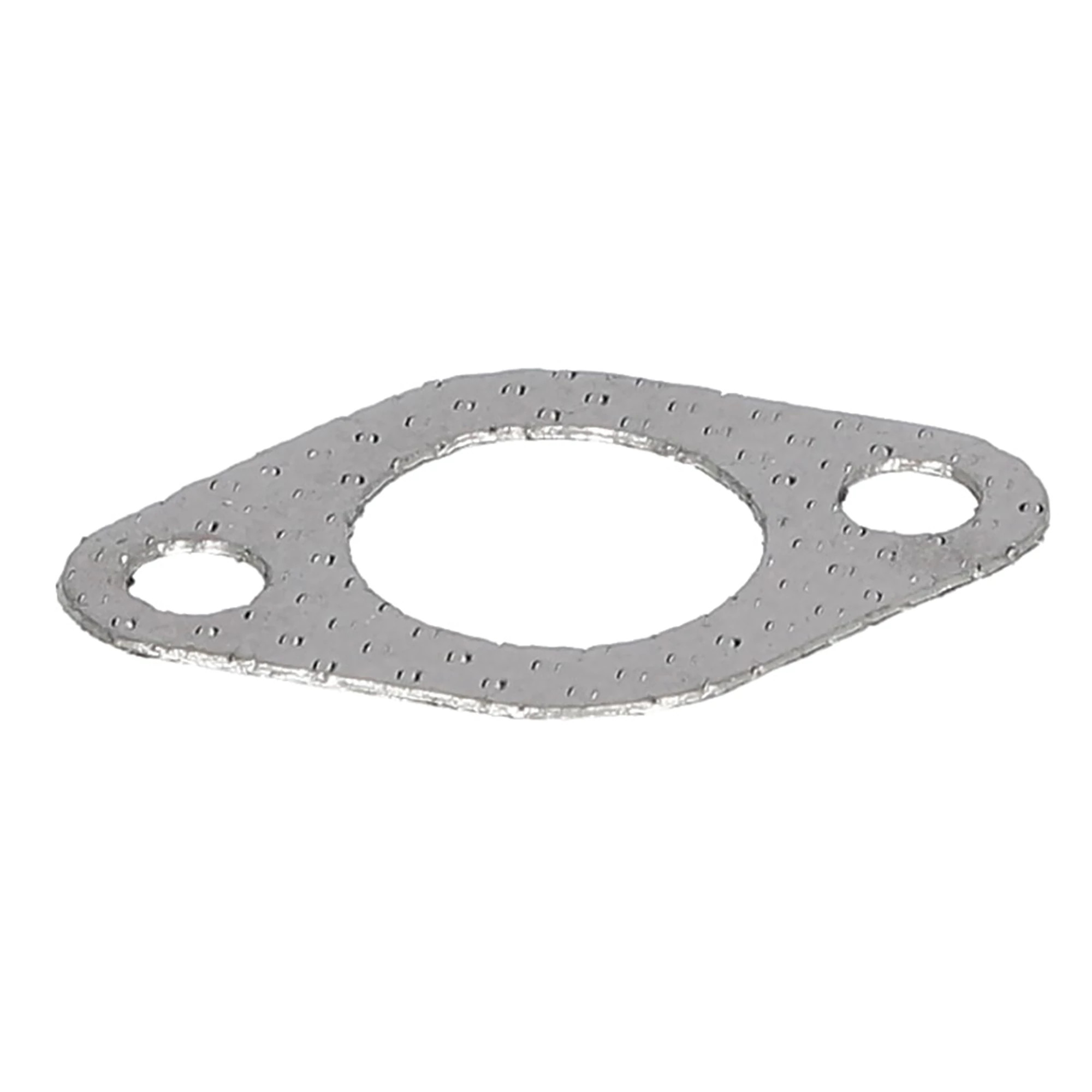 Muffler Gasket | CASECE | CA | EN