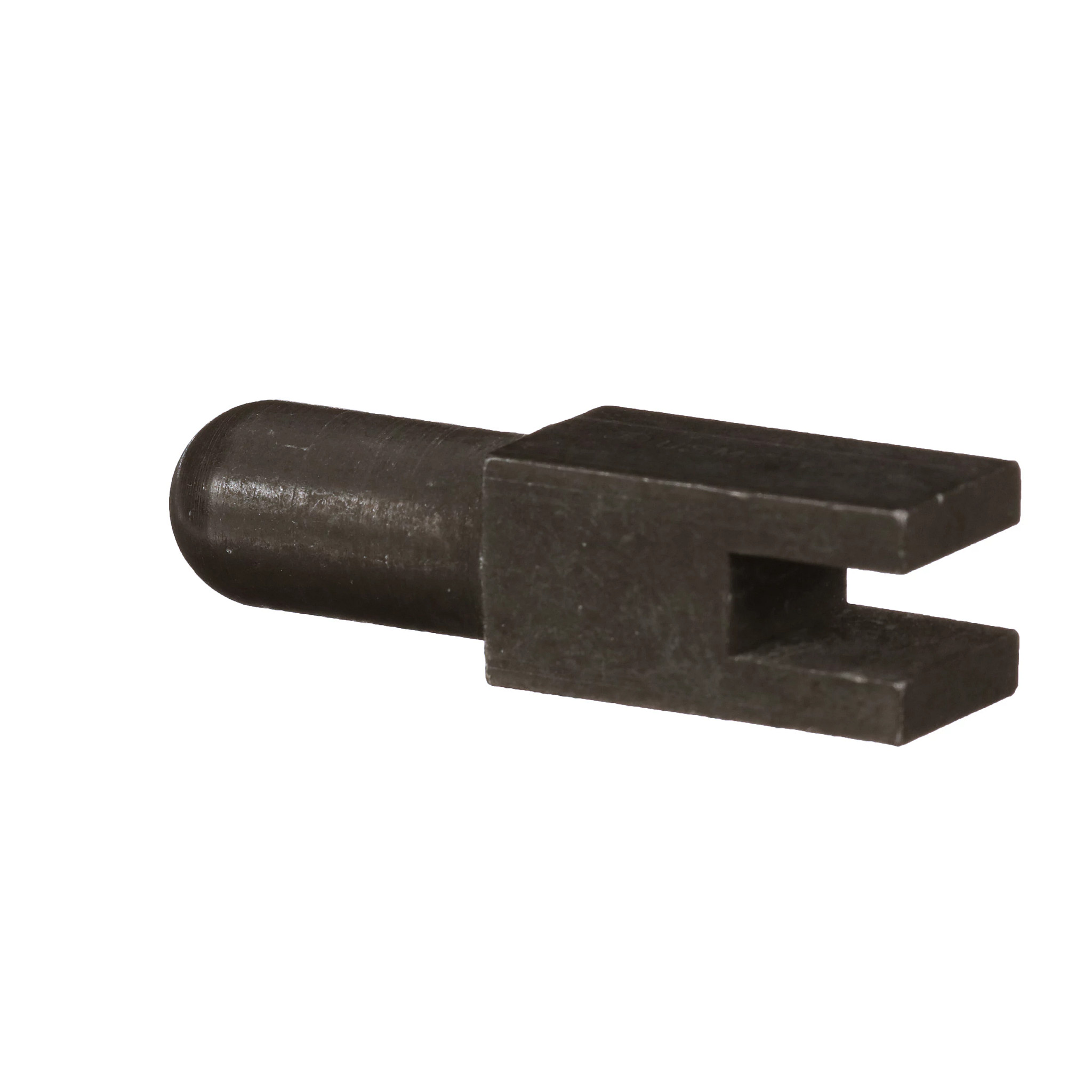 PINO | CASECE | BR | PT