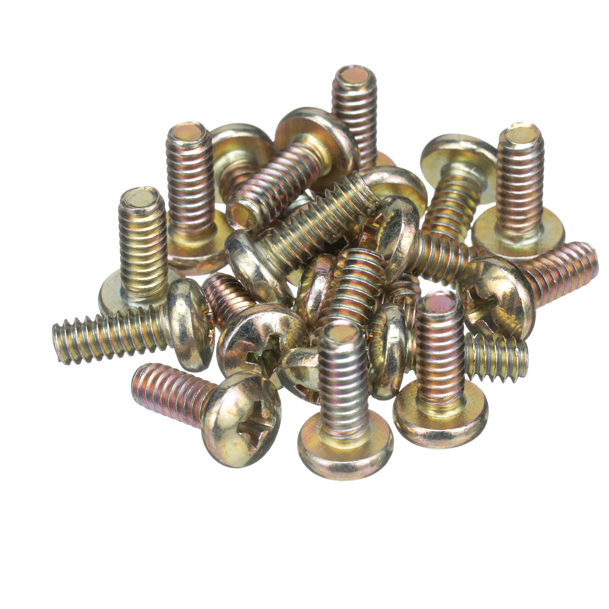 SCREW | CASECE | CA | EN