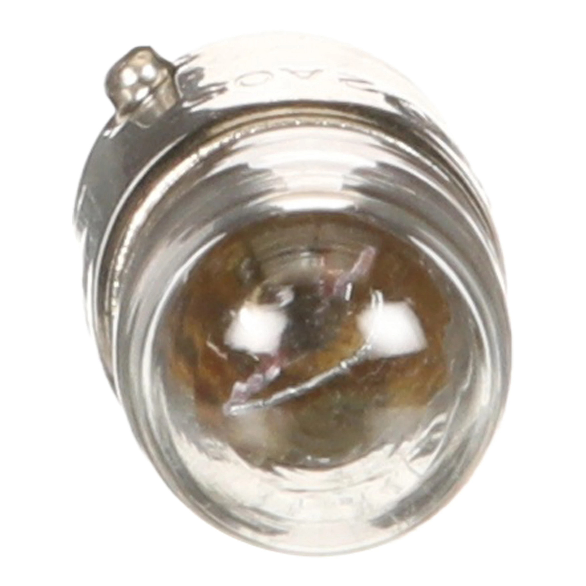 BULB | CASEIH | US | EN