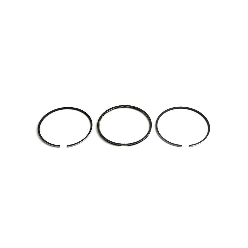 Piston Ring Set | CASECE | US | EN