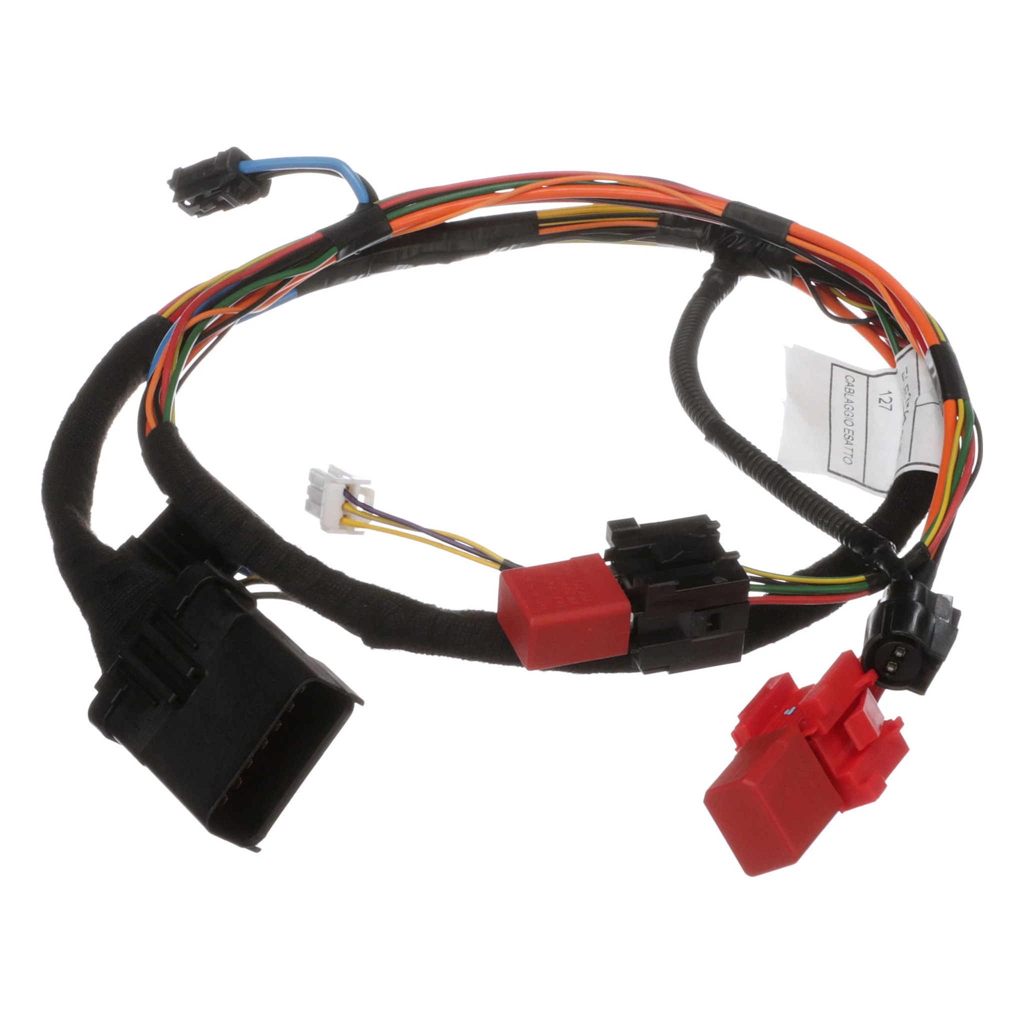 CHICOTE | CASECE | EU | PT