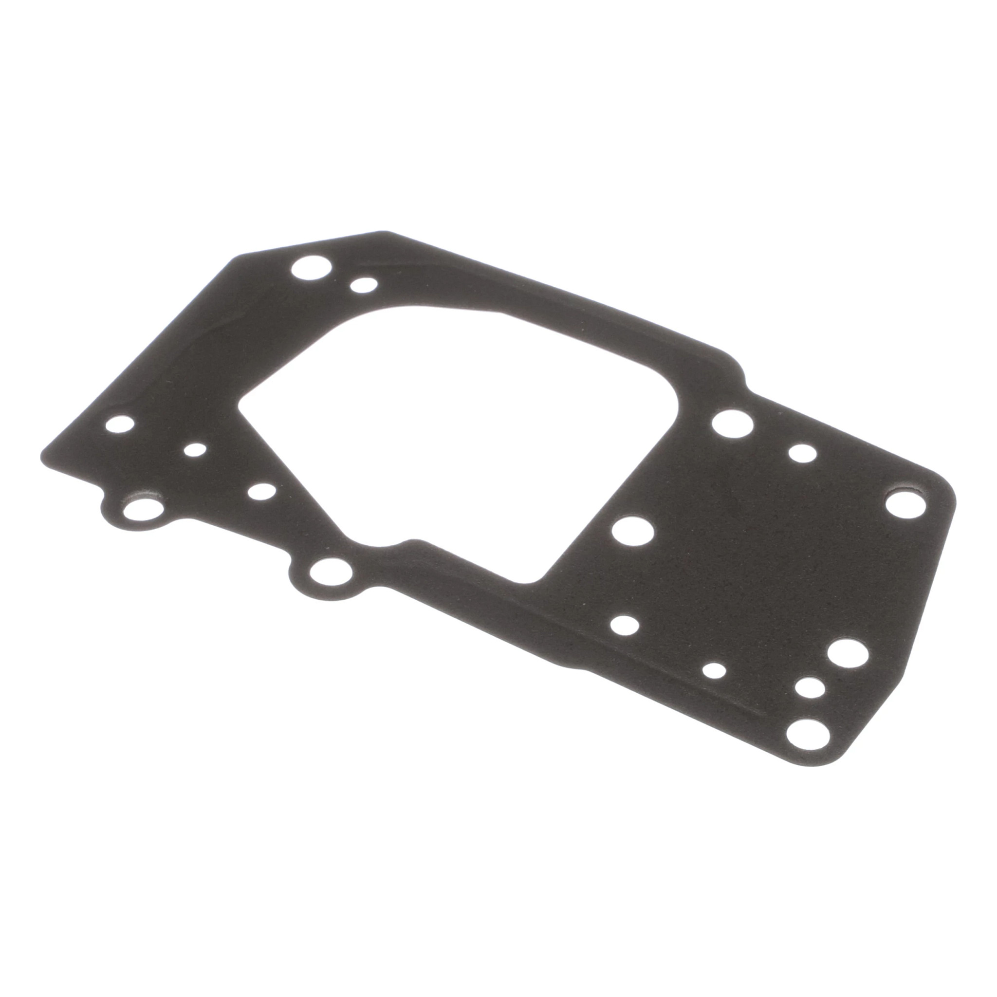 Gasket | CASEIH | CA | EN