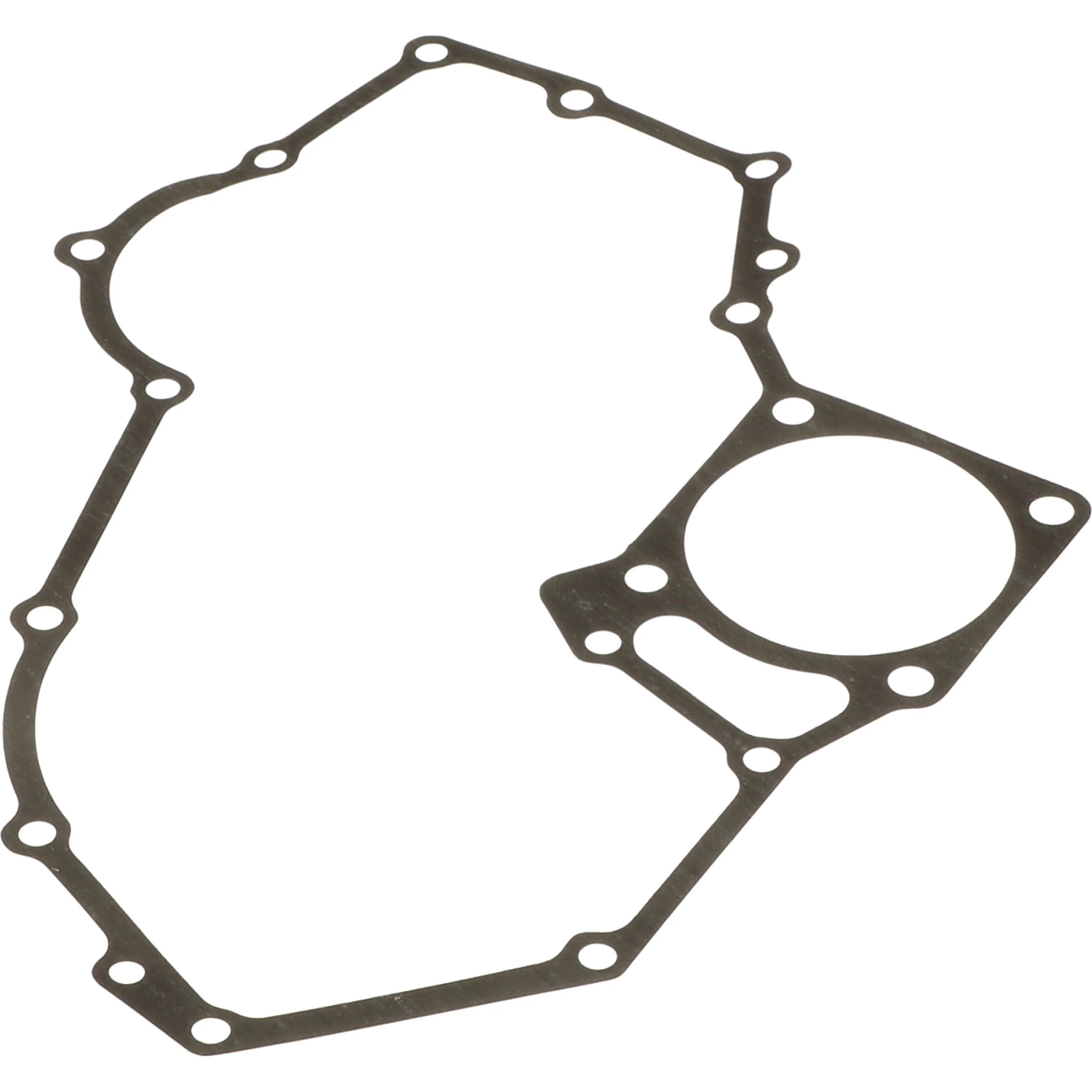 ПРОКЛАДКА | CASEIH | AMEA | RU