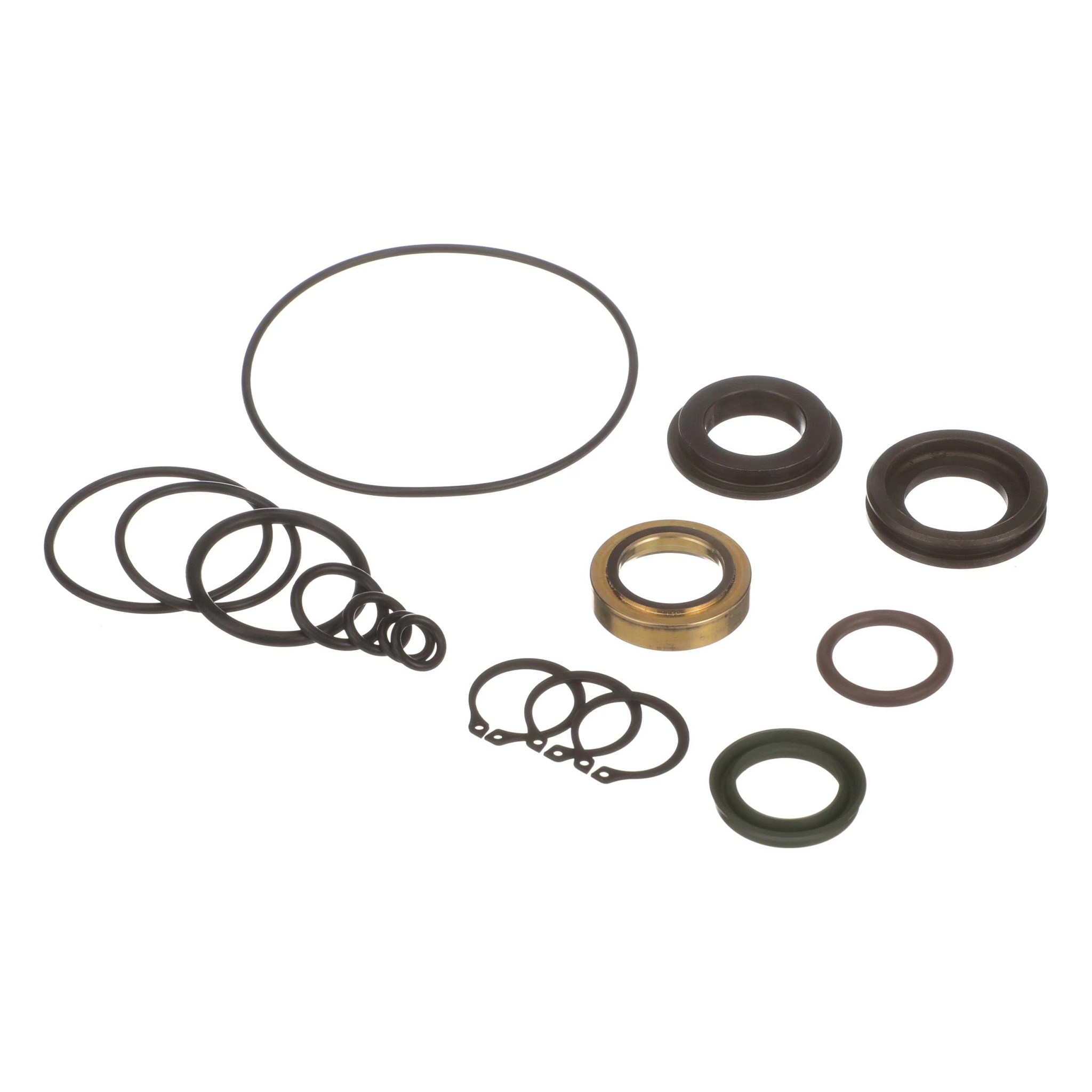 Hydraulic Motor Seal Kit | CASEIH | CA | EN