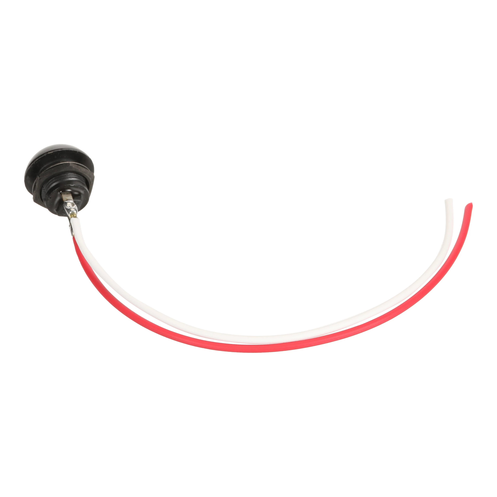 SWITCH | CASECE | US | EN