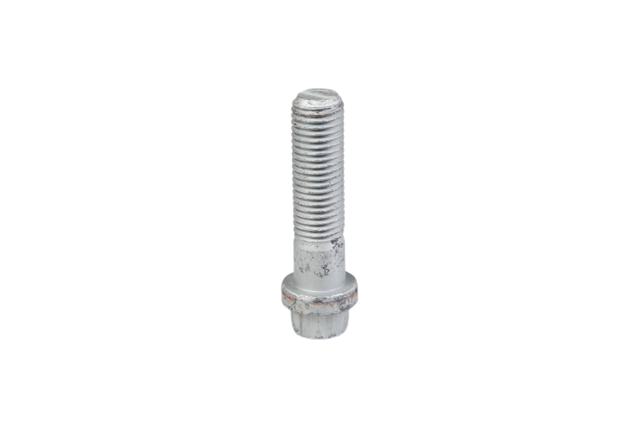 12 PT SCREW | CASECE | CA | EN