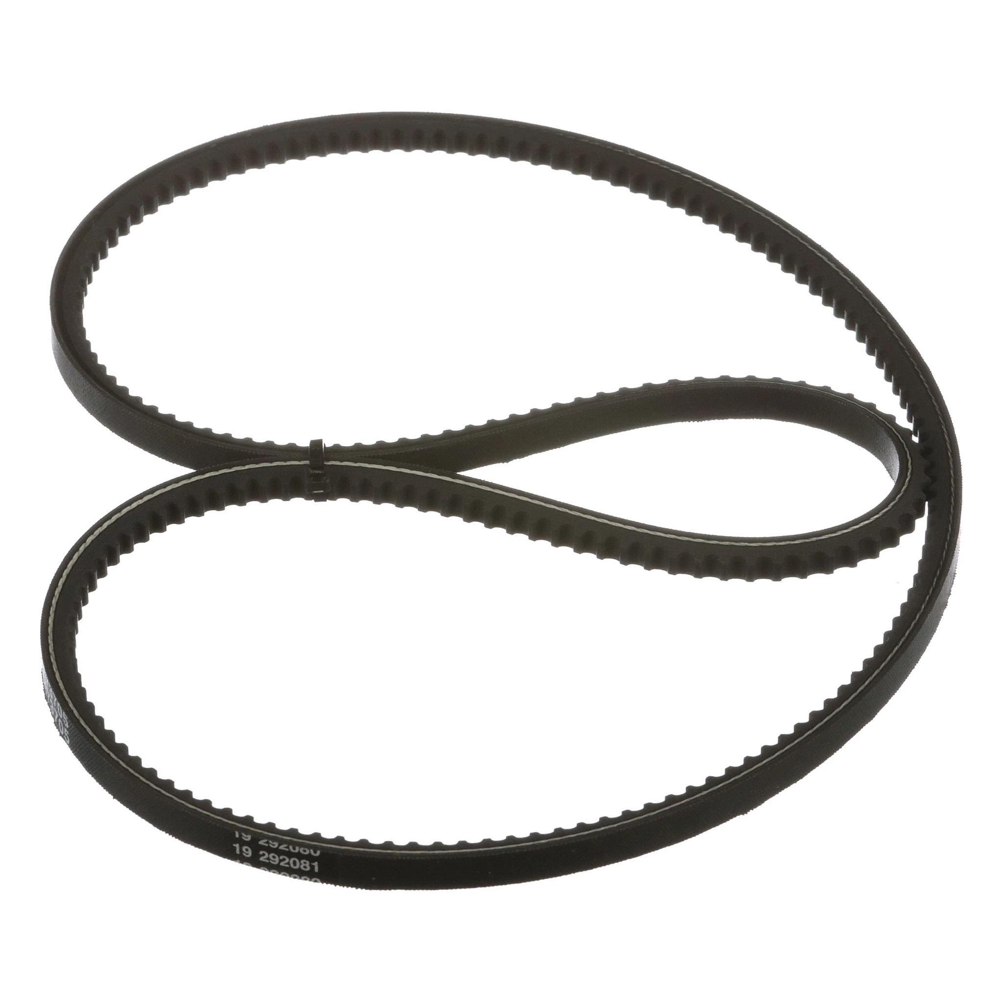 BELT | CASECE | EU | EN