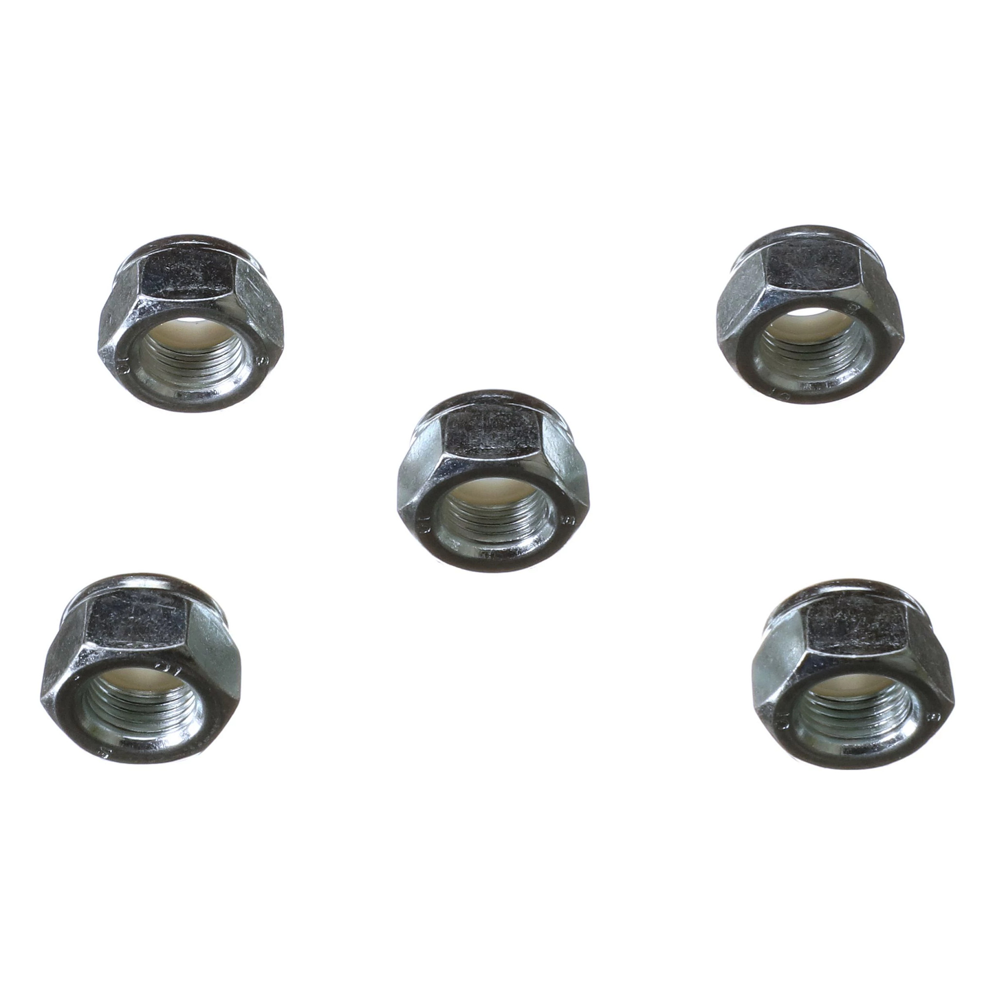 NUT | CASECE | AMEA | EN