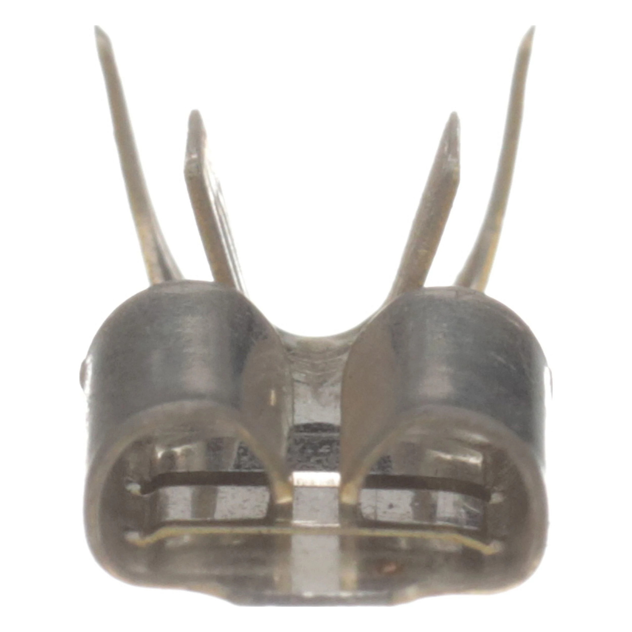 ELEC CONNECTOR | CASECE | AMEA | EN