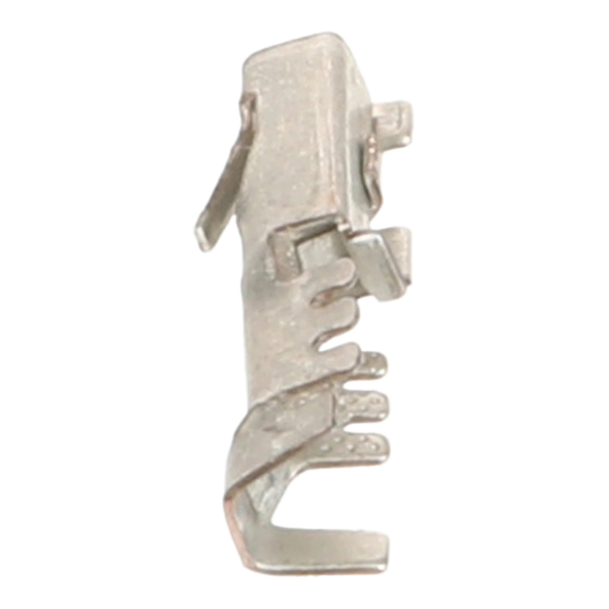 TERMINAL | CASECE | CA | EN