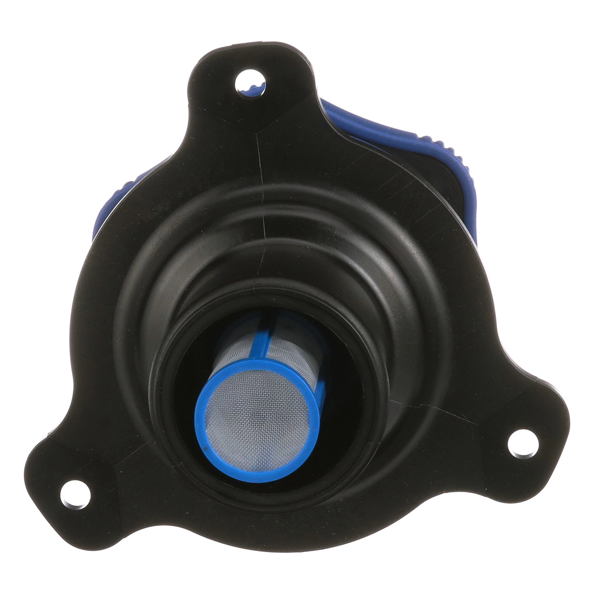 FILLER NECK | CASECE | US | EN
