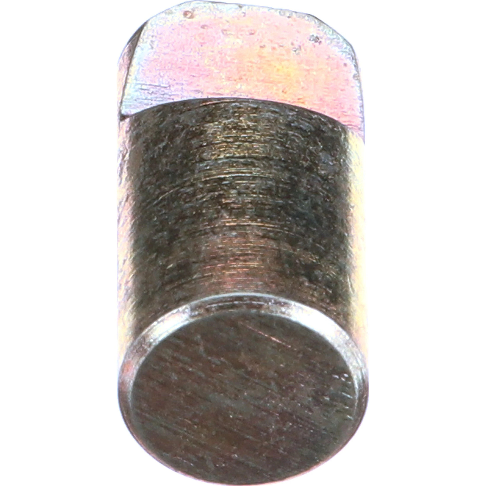 PAWL | CASECE | CA | EN