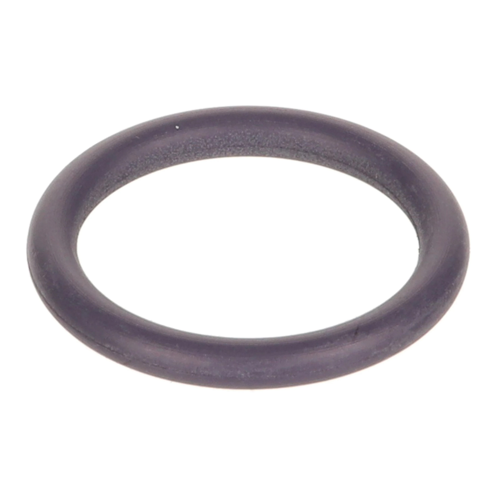 O-RING | CASECE | EU | EN