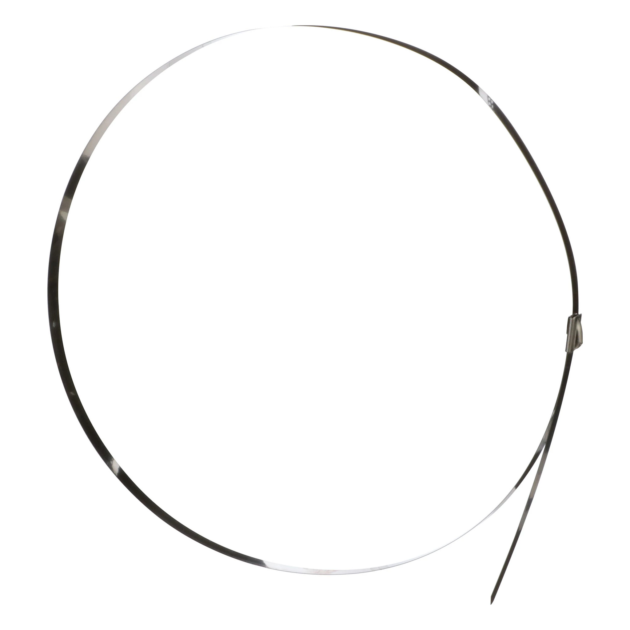 BRIDE | CASEIH | AMEA | EN