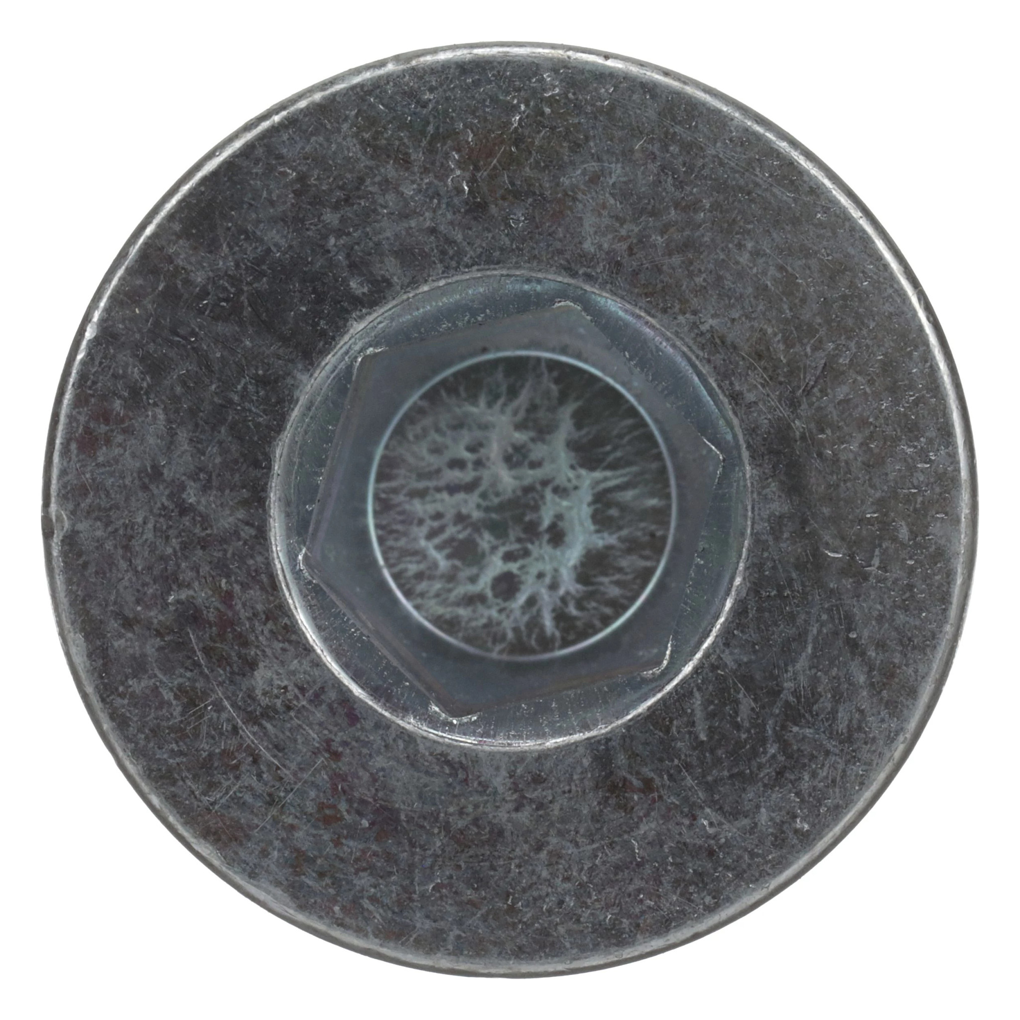 PLUG | CASECE | CA | EN