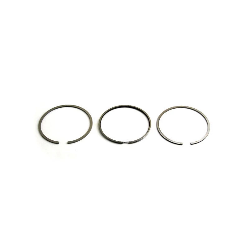 Piston Ring Set | CASECE | US | EN