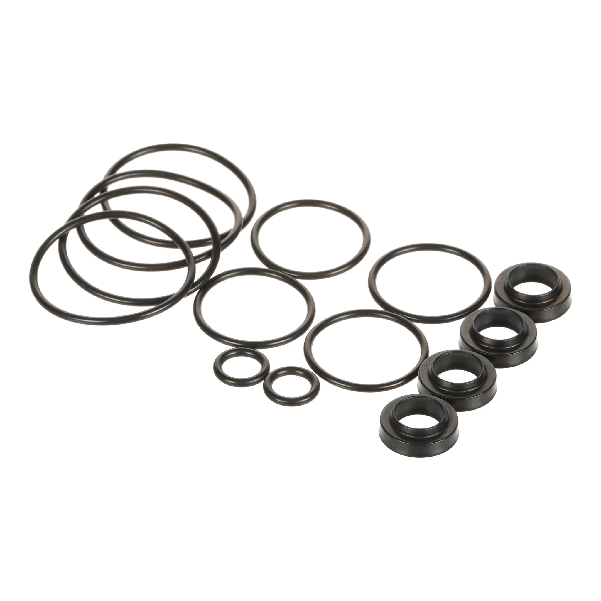 Seal Kit | CASECE | US | EN