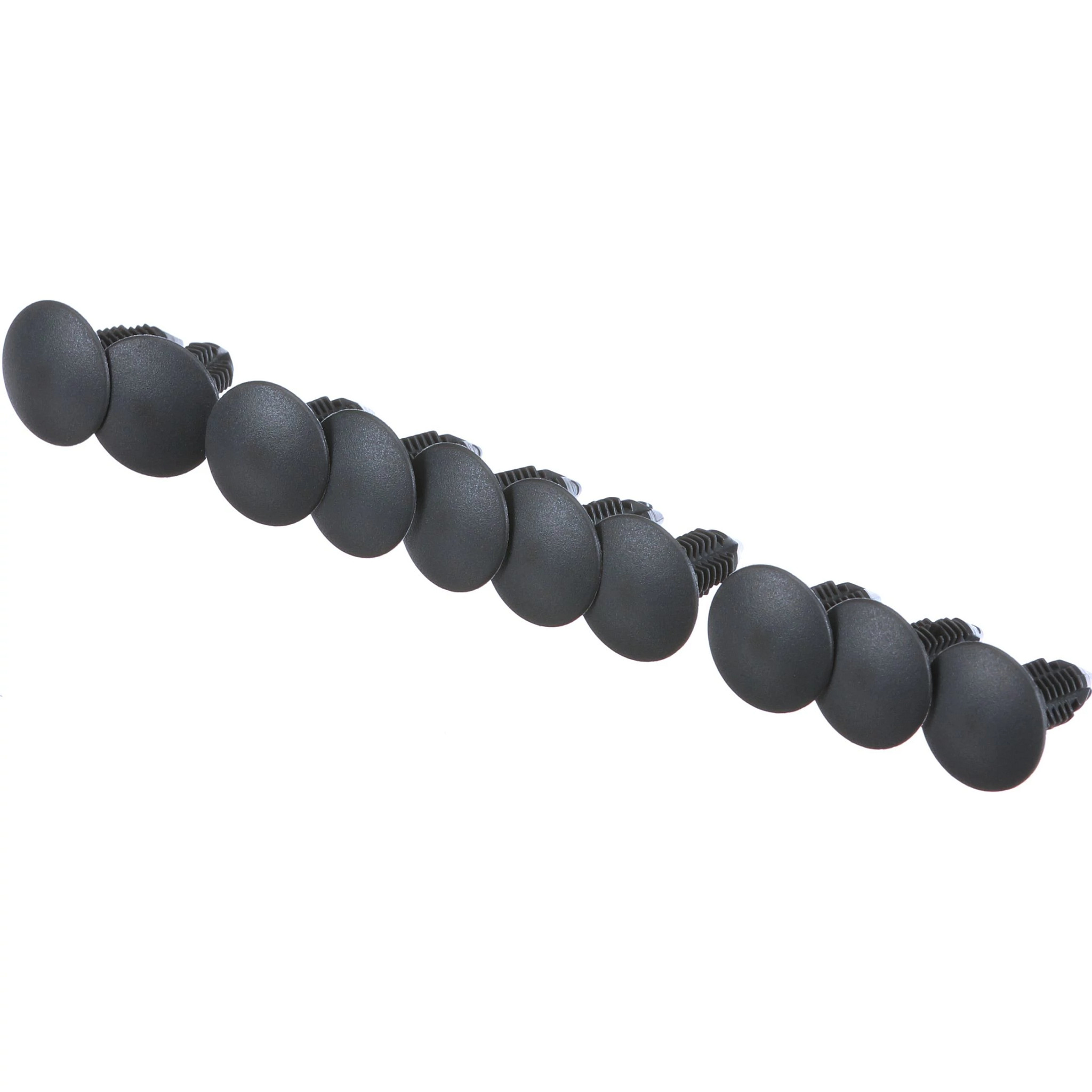 STUD | CASECE | CA | EN